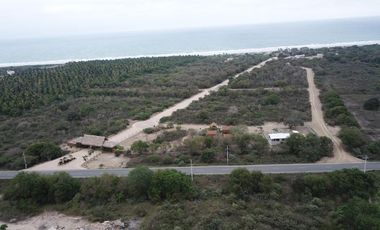 TERRENO EN VENTA TANUSAS