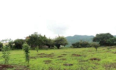 ¡Terreno en Venta en San Juan Texcalpan, Atlatlahucan, Morelos!