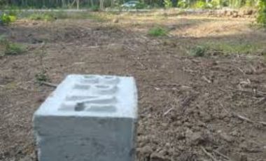 Dijual Tanah Dekat Bandara YIA Jogja Siap AJB