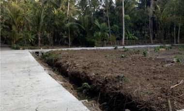 Dijual Tanah Dekat Bandara YIA Jogja Siap AJB