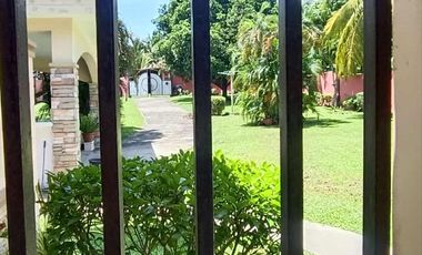 Beach Property for Sale in Dauin Negros Oriental