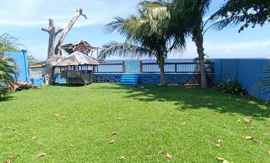 Beach Property for Sale in Dauin Negros Oriental