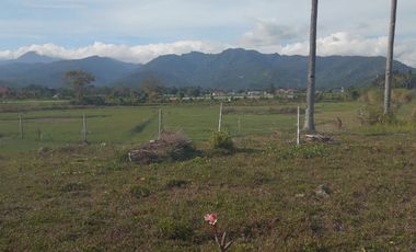 Beachfront land near Bangsal Harbor