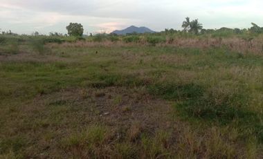 FOR SALE - Vacant Lot in Tuy, Batangas
