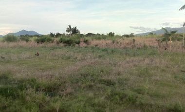 FOR SALE - Vacant Lot in Tuy, Batangas