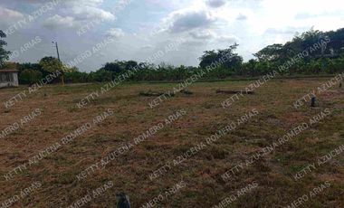 VENTAS DE SOLARES VENTANAS VIA ECHEANDIA