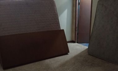 DISEWAKAN RUMAH LUAS COCOK UNTUK TEMPAT TINGGAL,KANTOR,USAHA,GUDANG,HARGA TERMURAH NEGO SAMPAI JADI