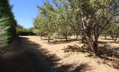 Se Vende Hermosa Parcela El Castaño, Paine