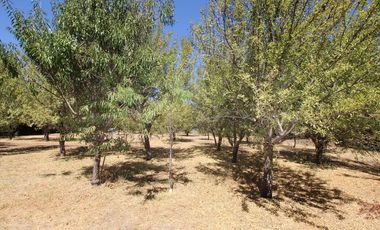 Se Vende Hermosa Parcela El Castaño, Paine