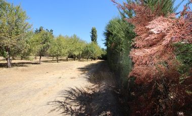 Se Vende Hermosa Parcela El Castaño, Paine