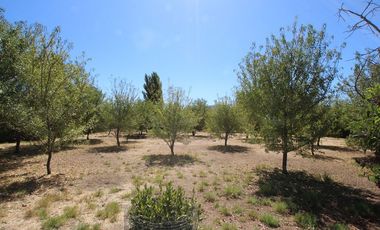 Se Vende Hermosa Parcela El Castaño, Paine