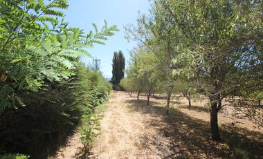 Se Vende Hermosa Parcela El Castaño, Paine
