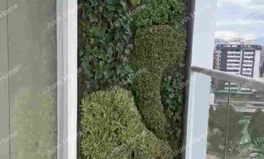 Suite de lujo en renta