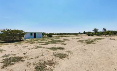 Terreno de 6 Ha en Pisco, Cerca a Av Fermin Tanguis