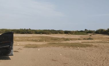 Terreno de 6 Ha en Pisco, Cerca a Av Fermin Tanguis