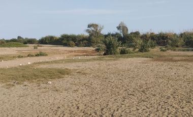 Terreno de 6 Ha en Pisco, Cerca a Av Fermin Tanguis