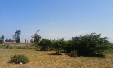 Terreno de 6 Ha en Pisco, Cerca a Av Fermin Tanguis