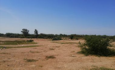 Terreno de 6 Ha en Pisco, Cerca a Av Fermin Tanguis