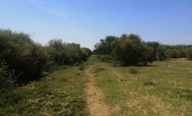 Terreno de 6 Ha en Pisco, Cerca a Av Fermin Tanguis