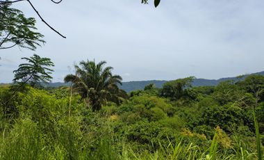 FINCA DE 30 HS CON RIO EN EL SECTOR DEL PARQUE TAYRONA SANTA MARTA.