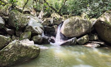FINCA DE 30 HS CON RIO EN EL SECTOR DEL PARQUE TAYRONA SANTA MARTA.