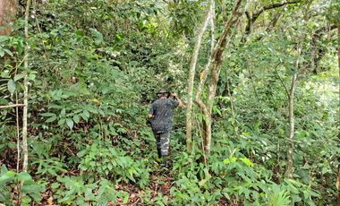 FINCA DE 30 HS CON RIO EN EL SECTOR DEL PARQUE TAYRONA SANTA MARTA.