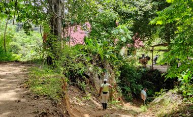 FINCA DE 30 HS CON RIO EN EL SECTOR DEL PARQUE TAYRONA SANTA MARTA.