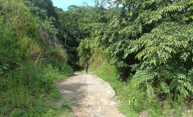 FINCA DE 30 HS CON RIO EN EL SECTOR DEL PARQUE TAYRONA SANTA MARTA.