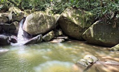 FINCA DE 30 HS CON RIO EN EL SECTOR DEL PARQUE TAYRONA SANTA MARTA.