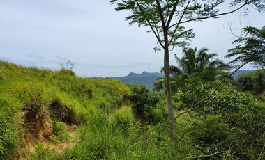 FINCA DE 30 HS CON RIO EN EL SECTOR DEL PARQUE TAYRONA SANTA MARTA.