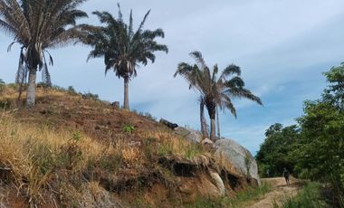 FINCA DE 30 HS CON RIO EN EL SECTOR DEL PARQUE TAYRONA SANTA MARTA.