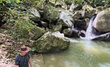 FINCA DE 30 HS CON RIO EN EL SECTOR DEL PARQUE TAYRONA SANTA MARTA.