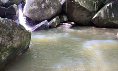 FINCA DE 30 HS CON RIO EN EL SECTOR DEL PARQUE TAYRONA SANTA MARTA.