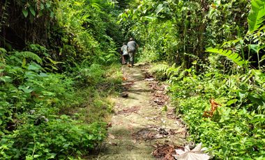 FINCA DE 30 HS CON RIO EN EL SECTOR DEL PARQUE TAYRONA SANTA MARTA.