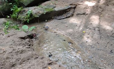 FINCA DE 30 HS CON RIO EN EL SECTOR DEL PARQUE TAYRONA SANTA MARTA.