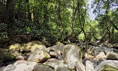 FINCA DE 30 HS CON RIO EN EL SECTOR DEL PARQUE TAYRONA SANTA MARTA.