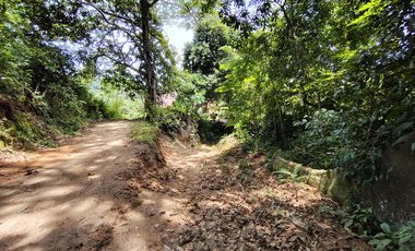 FINCA DE 30 HS CON RIO EN EL SECTOR DEL PARQUE TAYRONA SANTA MARTA.