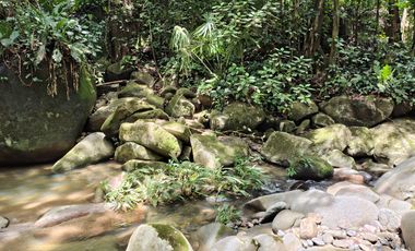 FINCA DE 30 HS CON RIO EN EL SECTOR DEL PARQUE TAYRONA SANTA MARTA.
