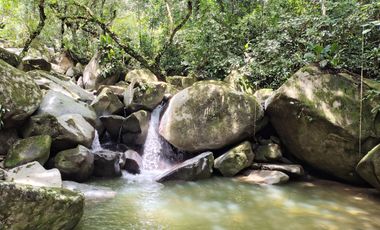 FINCA DE 30 HS CON RIO EN EL SECTOR DEL PARQUE TAYRONA SANTA MARTA.