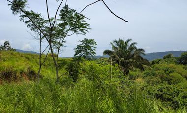FINCA DE 30 HS CON RIO EN EL SECTOR DEL PARQUE TAYRONA SANTA MARTA.