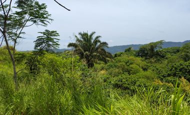 FINCA DE 30 HS CON RIO EN EL SECTOR DEL PARQUE TAYRONA SANTA MARTA.