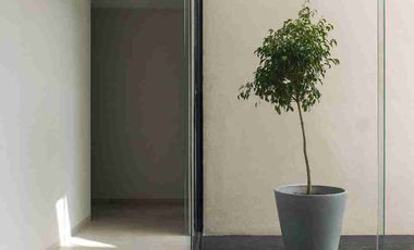 Departamento en Renta en La Paz Puebla