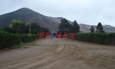 Terreno En Pachacamac - Finca Maria