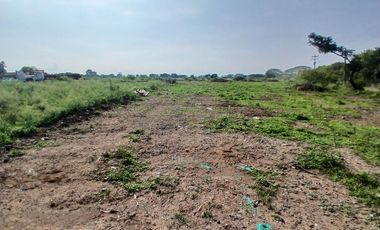 LOTE INDUSTRIAL LA NUBIA CANDELARIA