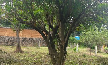 Terreno en venta en Tepoztlán Morelos, en San José