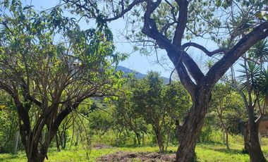 Terreno en venta en Tepoztlán Morelos, en San José