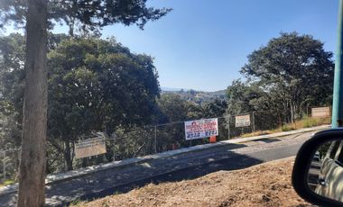 CONDADO DE SAYAVEDRA