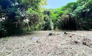 Dijual Tanah 3,6 Are View Sungai dan perkebunan cocok Usaha Villa