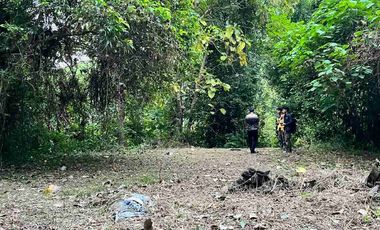 Dijual Tanah 3,6 Are View Sungai dan perkebunan cocok Usaha Villa