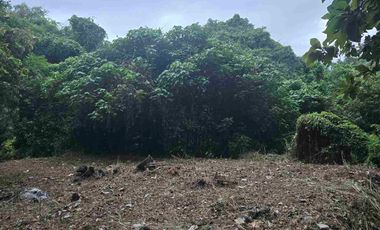 Dijual Tanah 3,6 Are View Sungai dan perkebunan cocok Usaha Villa